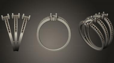 Jewelry rings Ring 216 3d model